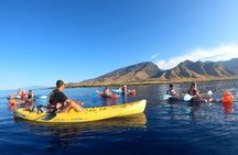 Clear Bottom Kayak and Snorkel Experience at Turtle Reef Olowalu