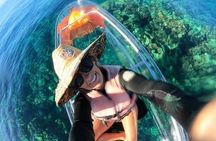 Clear Bottom Kayak and Snorkel Experience at Turtle Reef Olowalu