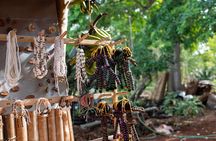 Siquijor Island Shared Tour