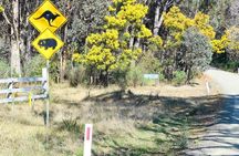 Sydney Wildlife Safari