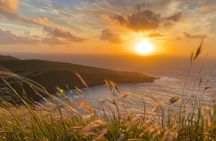Private Tour Oahu-Circle Island-Up to 6 passengers-Customizable
