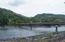 Uji Tea Ceremony and UNESCO Heritage Walking Tour