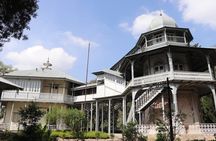  Fullday VIP Tour to The Unity Park, Friendship Park, Entoto park