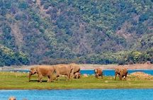 3 Day Taj Mahal and Jim Corbett National Park Safari Tour