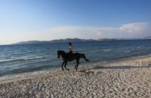 Horse Riding Experience on the Beach with Instructor