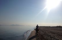 Horse Riding Experience on the Beach with Instructor