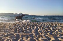 Horse Riding Experience on the Beach with Instructor