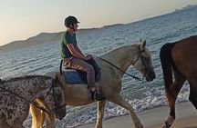 Horse Riding Experience on the Beach with Instructor