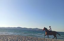 Horse Riding Experience on the Beach with Instructor