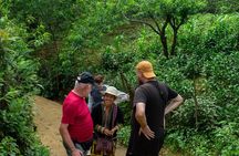 Ride Beyond Sapa | Local Villages, Rice Terraces & Waterfalls