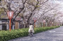 Kyoto E-Bike Tour of Hidden Gems, Backstreets and Temples