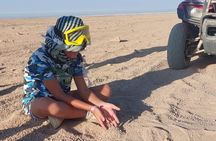  Private 3 Hours Safari Quad Bike and Camel Ride Experience