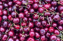 Food Tasting & Arts Tour of Pike Place Market