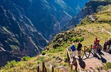 2 Days and 1 Night Tour from Puno to Colca Canyon and Arequipa