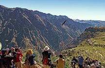 Package 2 days Puno Colca Arequipa Canyon