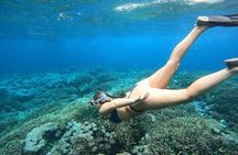 All Inclusive Bali Blue Lagoon and Tanjung Jepun Snorkeling