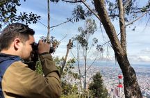Birdwatching at Monserrate Bogotá 4H
