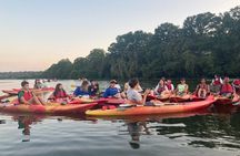 Evening Bat Watching Kayak Tour