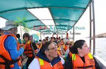 Día completo en Paracas y Huacachina desde Lima Todo Incluido 