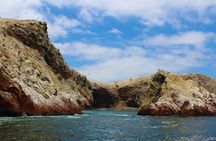1 day tour to Ballestas Islands and Paracas National Reserve