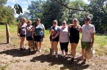 Liberia Walking City Tour and Tree Planting at a Local Farm