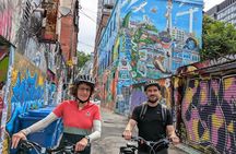 E-bike Toronto's Dynamic Neighbourhoods