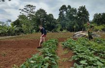 Ha Giang Loop Trekking Full Day Tour
