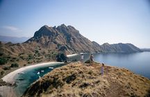 One Day Komodo Private Trip With Speedboat