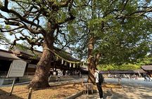 Sacred Morning Walk and Brunch Meiji Shrine