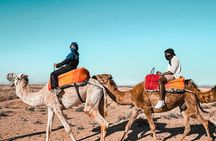 Marrakech Camel Ride and Traditional Dinner in Agafay Desert