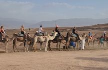 Marrakech Camel Ride and Traditional Dinner in Agafay Desert