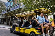 Guided Tampa Sightseeing Tour in New Street Legal Golf Cart