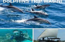 Elky Wasini Island Day Trip