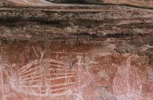 Kakadu National Park Full Day Tour + 2 Hour Cultural River Cruise