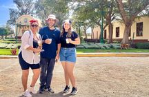 From Ica or Huacachina: Sunset pisco and buggy experience