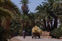4 Days Sahara Desert Adventure from Marrakech