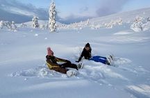 Levi: Snowshoeing adventure in the National Park