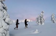 Levi: Snowshoeing adventure in the National Park