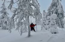 Levi: Snowshoeing adventure in the National Park