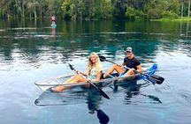 Silver Springs: Clear Kayaking Wildlife Tour