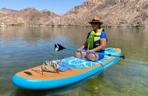 Stand up Paddle board Rentals in Willow Beach