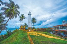 8 Day Private Car and Dedicated Driver Service in Sri Lanka