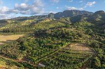Kamananui Cacao Orchard Tour