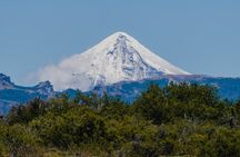 Aluminé : Day Horseback Tour with Traditional Roast