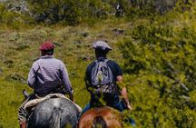 Aluminé : Day Horseback Tour with Traditional Roast