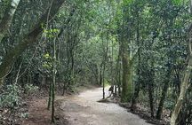 Guided tour to the Canyon of Guartelá