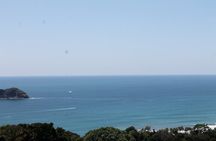 Private Shuttle from Manuel Antonio to SJO Airport
