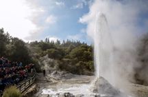 TRIPLE DEAL Ex Auckland Wai-O-Tapu, Redwood Forest & Blue Springs