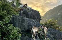 Luxury Full Day Ninh Binh Tour From Hanoi
