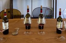 Discover Langhe wines with private tour and expert sommelier